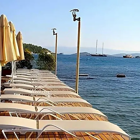 Hotel Trendlife Torba 5*